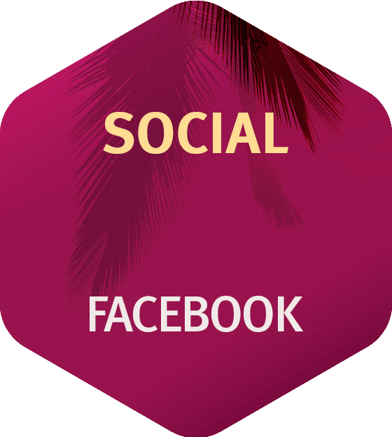 Social Media Facebook Autohaus Löhr SEAT Feeling