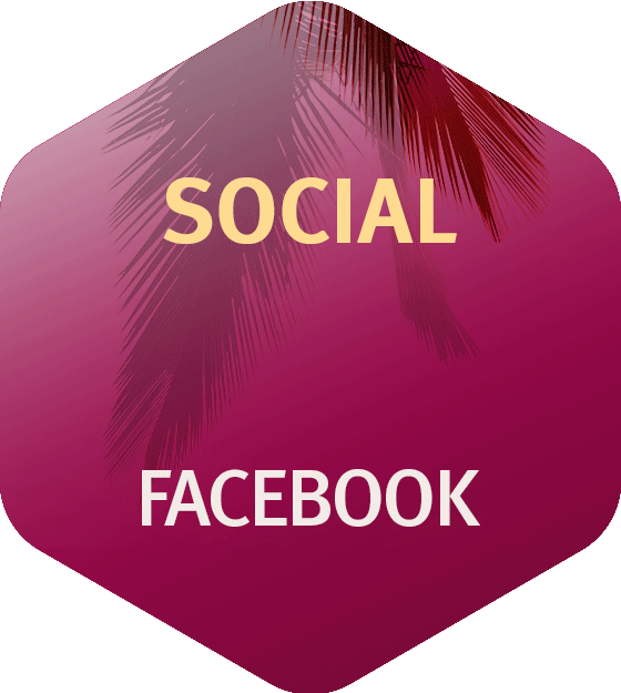 Social Media Facebook Autohaus Löhr SEAT Feeling