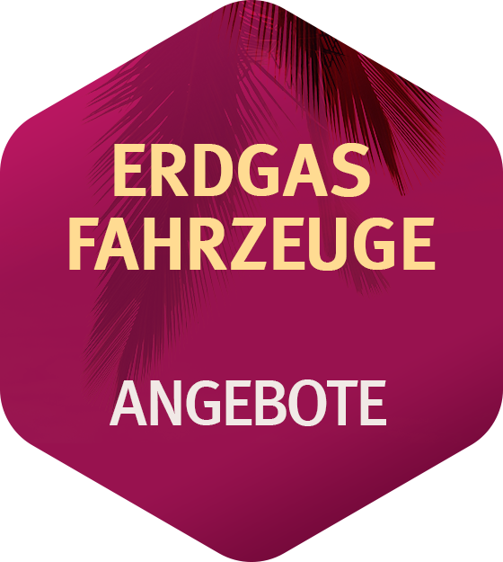 Erdgas Fahrzeuge Seat Wiesbaden